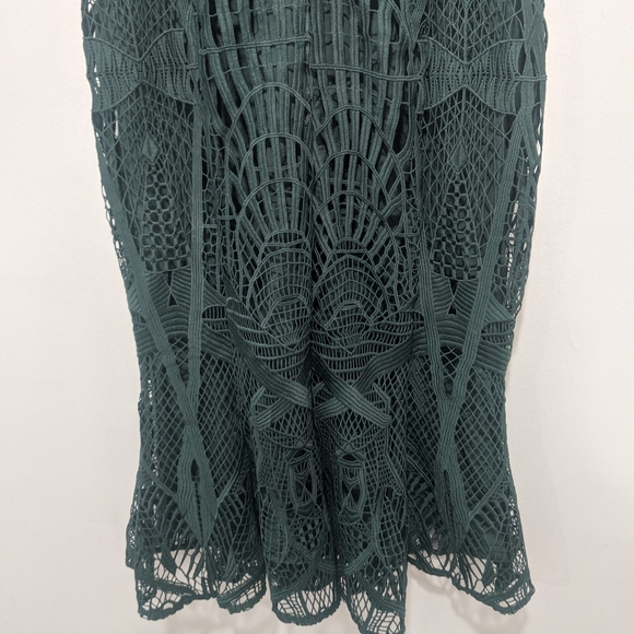 Aijek Green Love Is Embroidered Fit and Flare Lace Dress - Picture 8 of 15